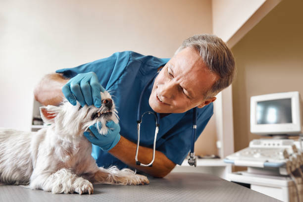 Best Knocked-Out Tooth Emergency  in Meeker, OK